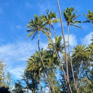 Meet your Posher, Jen